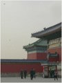 Beijing  (323)